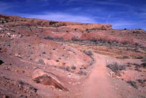 Starting the Delicate Arch Hike... gravel trail