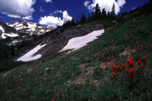 Indian Peaks View