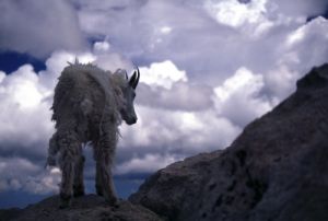 Where Do I Go From Here?